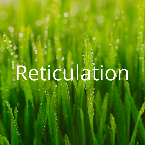 reticulation